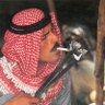 نور طافي ✰'s profile picture