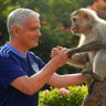 Profilbild von 🐒