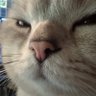เป็นแงว's profile picture
