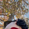 Jorcrisan's profile picture