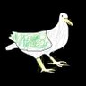 Фото профиля pigeon