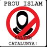 fora traïdors🏴󠁧󠁢󠁳󠁣󠁴󠁿🇮🇱🇺🇦's profile picture
