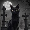 Фото профиля El Gato Negro