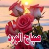 محمد عبد العزيز ريحاوي's profile picture