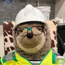 Sid The Sloth's profile picture