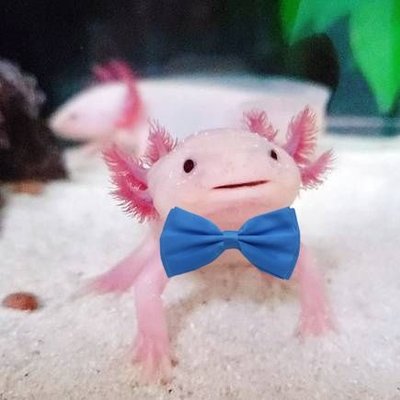 MR.Sunny's profile picture