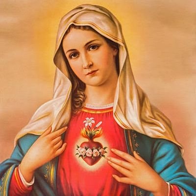 MotherMary's profile picture