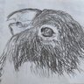 クルマサカbird's profile picture