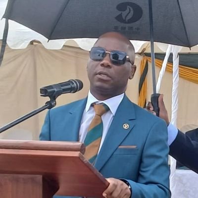 Hon l. Ndudzo's profile picture