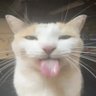 adhdproxi profil fotoğrafı