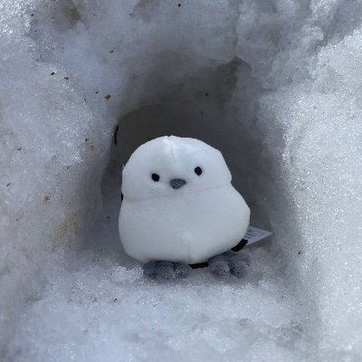 ohha_kon's profile picture