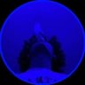 Blu ✯ 的头像