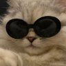 𝓐𝓫𝓮𝓵's profile picture