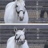 NumberK profil fotoğrafı