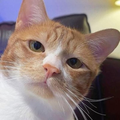 norforlee_'s profile picture