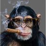 Profilbild von John Rogers