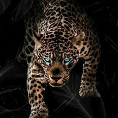 JulesM Nationaliste's profile picture