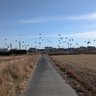とまと 的头像