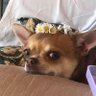 Tina W profil fotoğrafı
