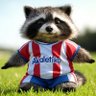 あかれてぃこ's profile picture