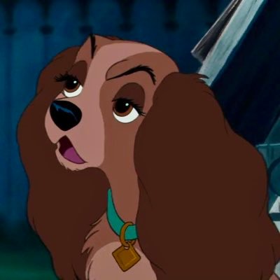 ซอนอ⚡️'s profile picture