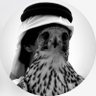 الــنداوي♡'s profile picture