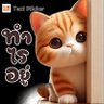 nan 的头像