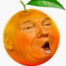 Orange Donald Trump's profile picture