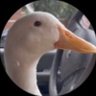 Фото профиля BASED AUTISTIC DUCK