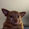 Someoneyouwouldntwanttoknow profil fotoğrafı