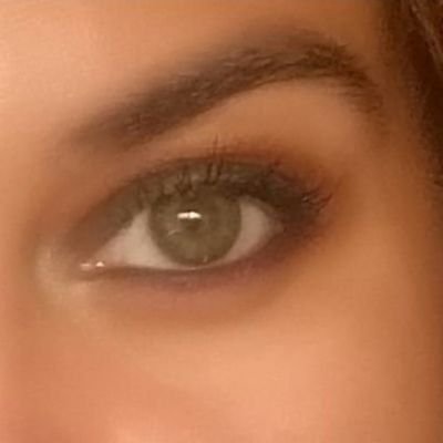 Evrim's profile picture