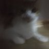 Profilbild von benuzulme