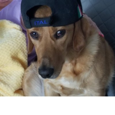 DefazioIvano's profile picture