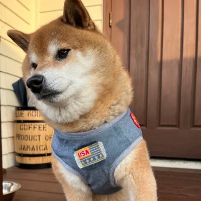 Hiro@tesla_model3's profile picture