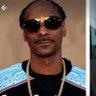 Profilbild von Snoop Crypto $DATA ARMY