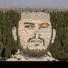 وليّنا عليا وصيّ رسول الله's profile picture