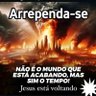 Maria Coelho's profile picture