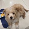 bb's profile picture