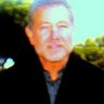Profilbild von Greg Edelson