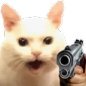 Profilbild von King of Meh