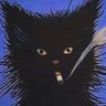 ⊰࿊⊱'s profile picture