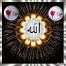 Ahmed Elsayed's profile picture