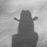 Sarah's profile picture