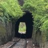 TheRapeTunnel profil fotoğrafı