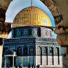 Profilbild von طلحه