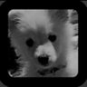 Profilbild von yash🐾