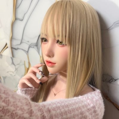 ✠ねこぬこ✠'s profile picture