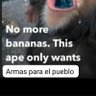 Not's profile picture