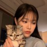 shae❔ 的头像