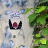 Faryade Azadi ☮️ profil fotoğrafı